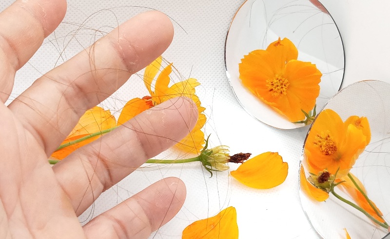 Queda de cabelo na primavera